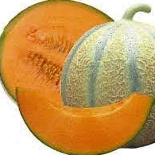 Sorbet Melon 0.5L