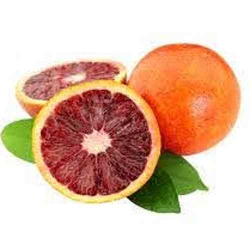Sorbet Orange Sanguine 0.5L