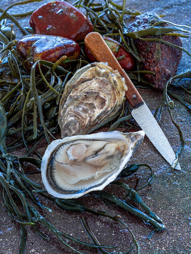 Bourriche d'huîtres creuses "l'Authentique" n°3 - 5 Douzaines